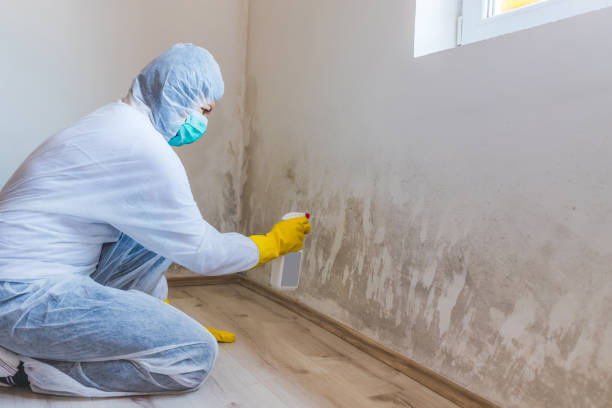 Hvac And Air Duct Mold Remediation inspection of HVAC system in Aberdeen