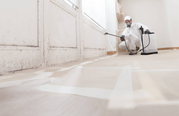 Black mold remediation team in Aberdeen
